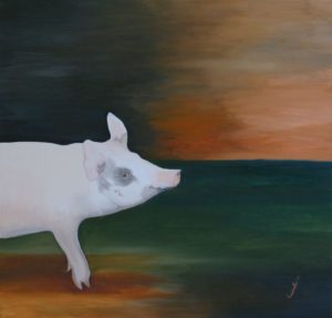 Hazel the Pig