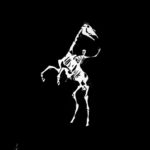 Behold a Pale Horse