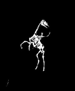 Behold a Pale Horse